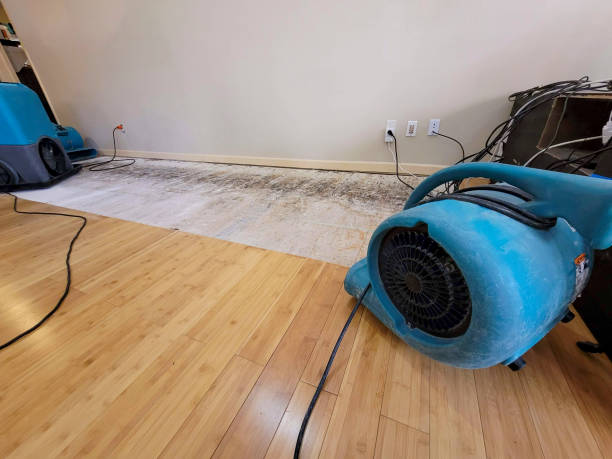 Professional Burst Pipe Water Damage technician working in North Hampton, NH